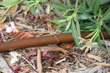 Preview: XFD Tropfrohr, Tropferabstand 33 cm, Durchflussmenge 2,3 l/h, 100 m Rolle